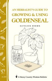 An Herbalist’s Guide to Growing & Using Goldenseal